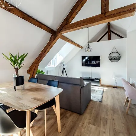 Cosy*** Centre Historique - Rue Pietonne A 200m De La *