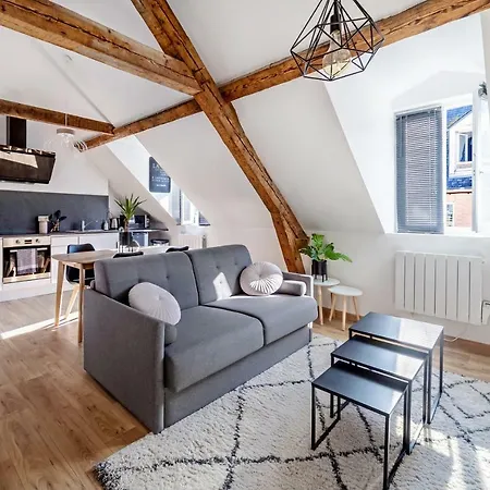 Cosy*** Centre Historique - Rue Pietonne A 200m De La *