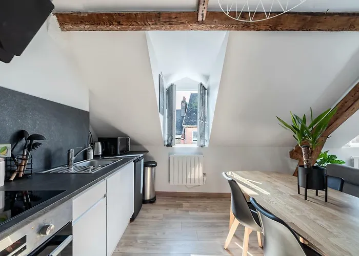 Appartement Cosy*** Centre Historique - Rue Pietonne A 200m De La