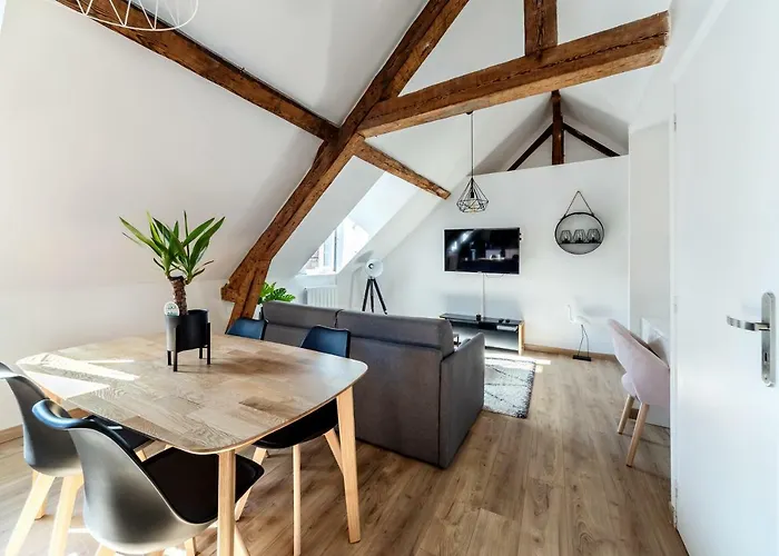 Cosy*** Centre Historique - Rue Pietonne A 200m De La *