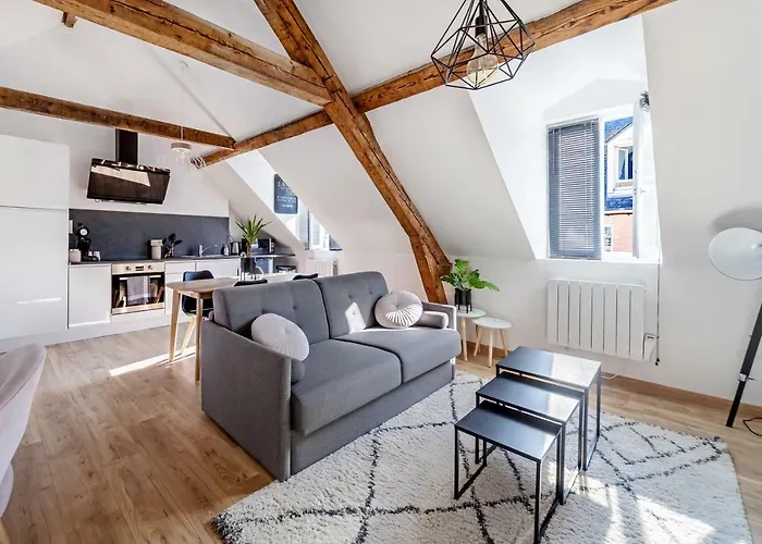 Cosy*** Centre Historique - Rue Pietonne A 200m De La *