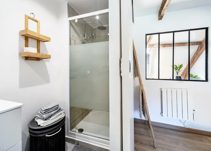 Appartement Cosy*** Centre Historique - Rue Pietonne A 200m De La