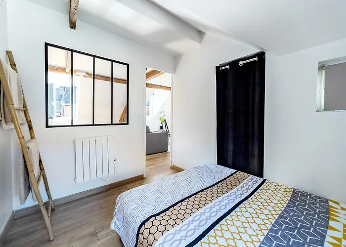 Cosy*** Centre Historique - Rue Pietonne A 200m De La Appartement